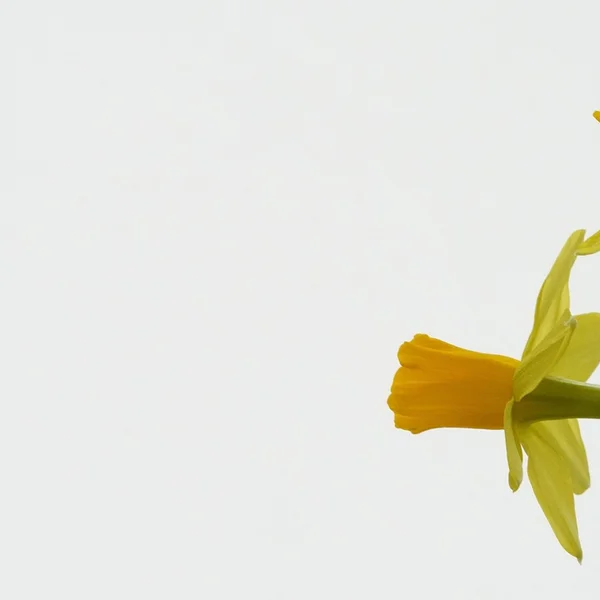 AG捕鱼棋牌游戏